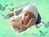 ref: naissance Bienvenue Lou-Anne et les papillons